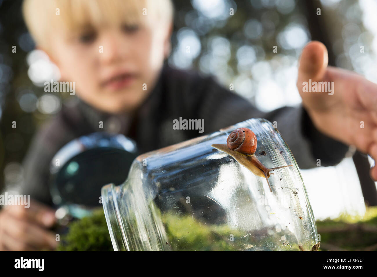 Schnecke Im Glas Halten
