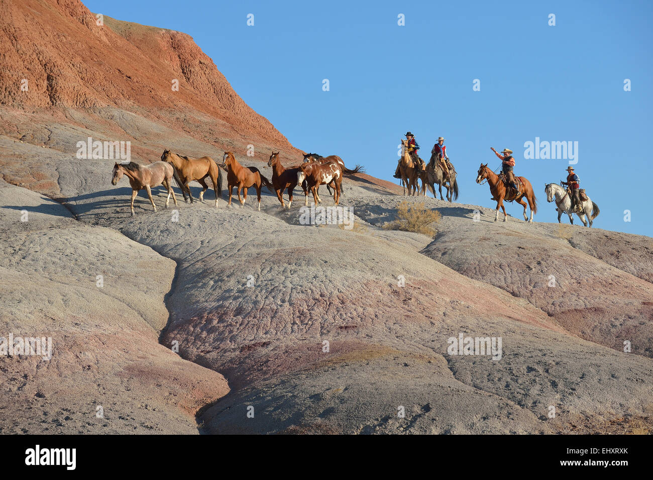 USA, Wyoming, Cowboys und Cowgirls herding Pferde in badlands Stockfoto