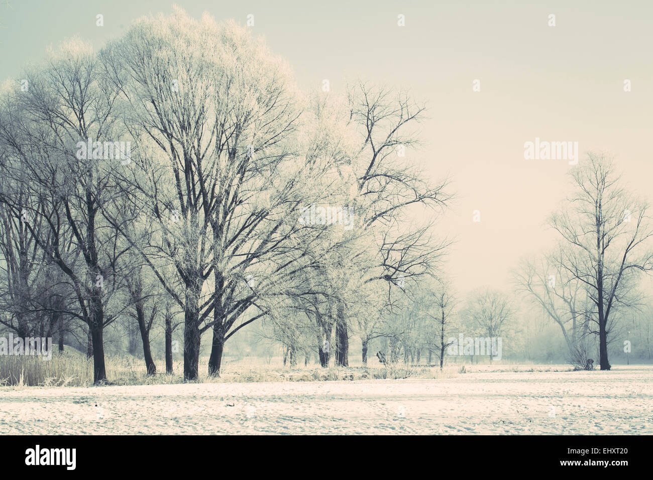 Deutschland, Bayern, Landshut, Flutmulde, Flutmulde im winter Stockfoto