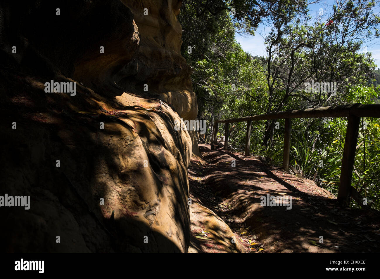 Felsenweg in Whakatane, Neuseeland. Stockfoto