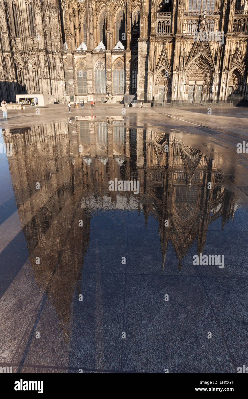 Deutschland, Köln, Kölner Dom in einer Pfütze spiegelt Stockfoto