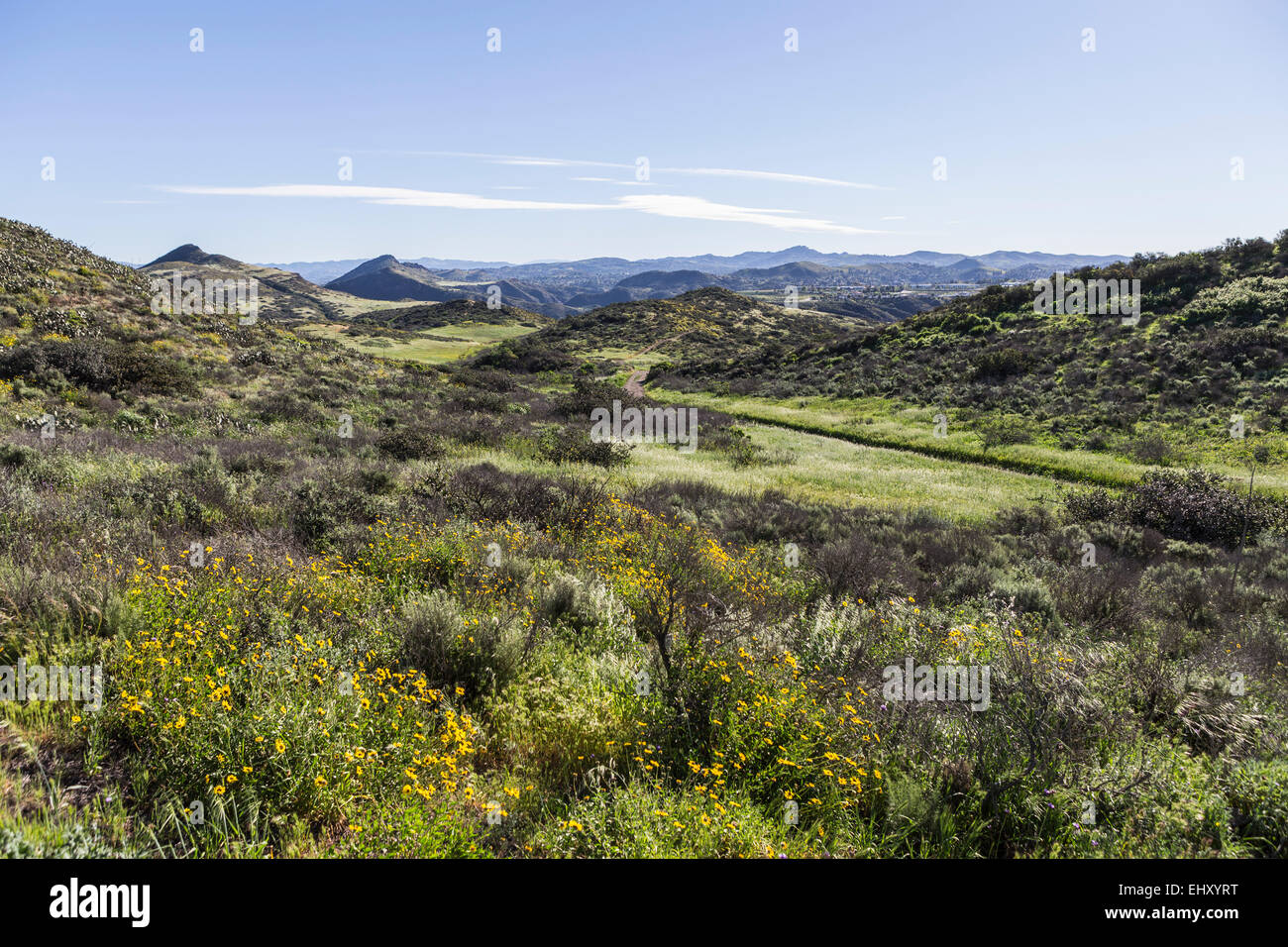 Frühling Hügel und Wiesen mit Blick auf Thousand Oaks und den Santa Monica Mountains im südlichen Kalifornien. Stockfoto