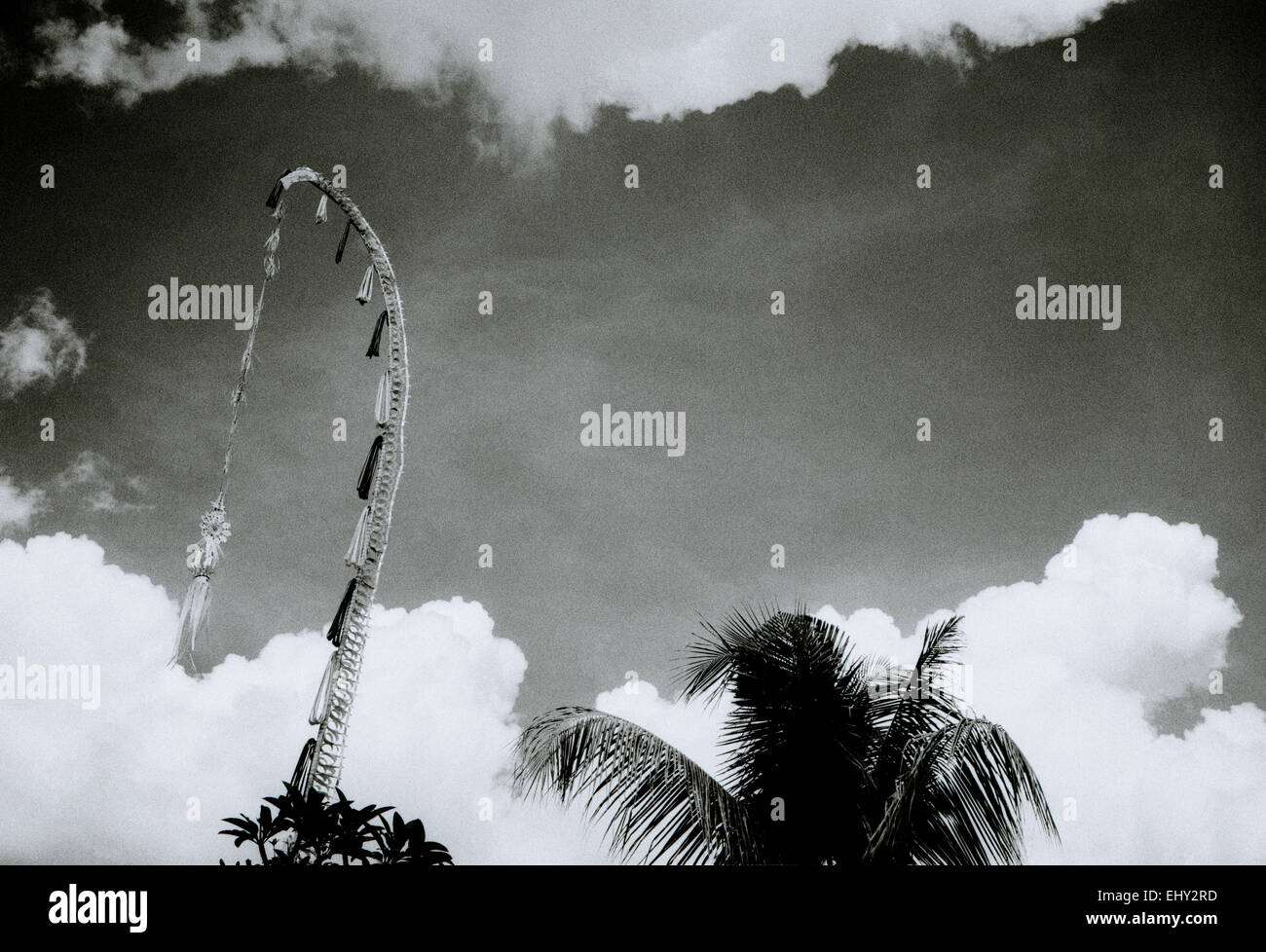 Hindu Penjor in Ubud in Bali in Indonesien in Südostasien. Religion religiöse Spiritualität spirituelle Himmel glauben Anbetung Kultur Fernweh Travel Stockfoto