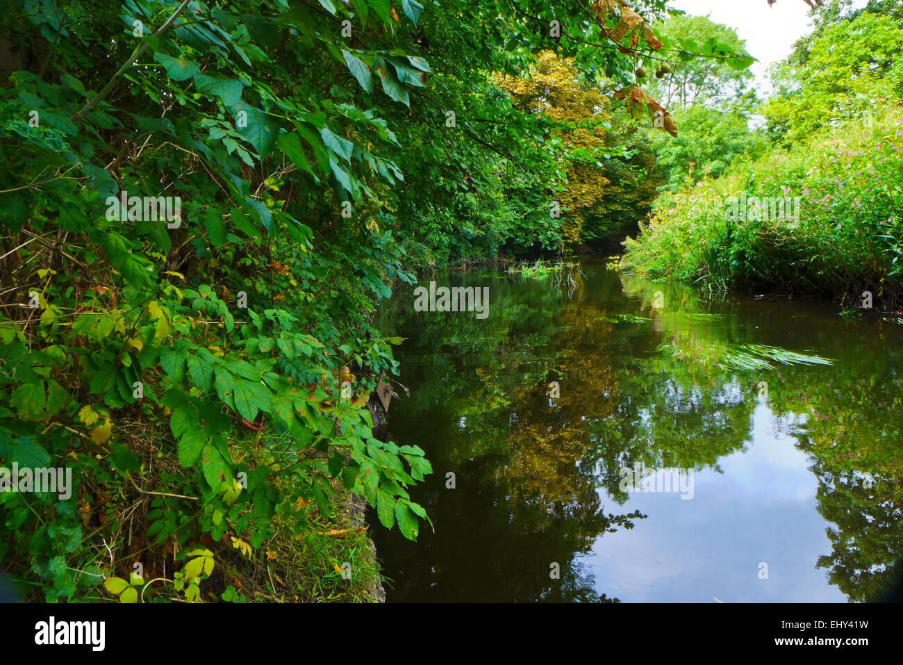 Ein Blick auf den Fluss Roding wie es fließt entlang der Kante des Wanstead Park, Wanstead, East London Stockfoto