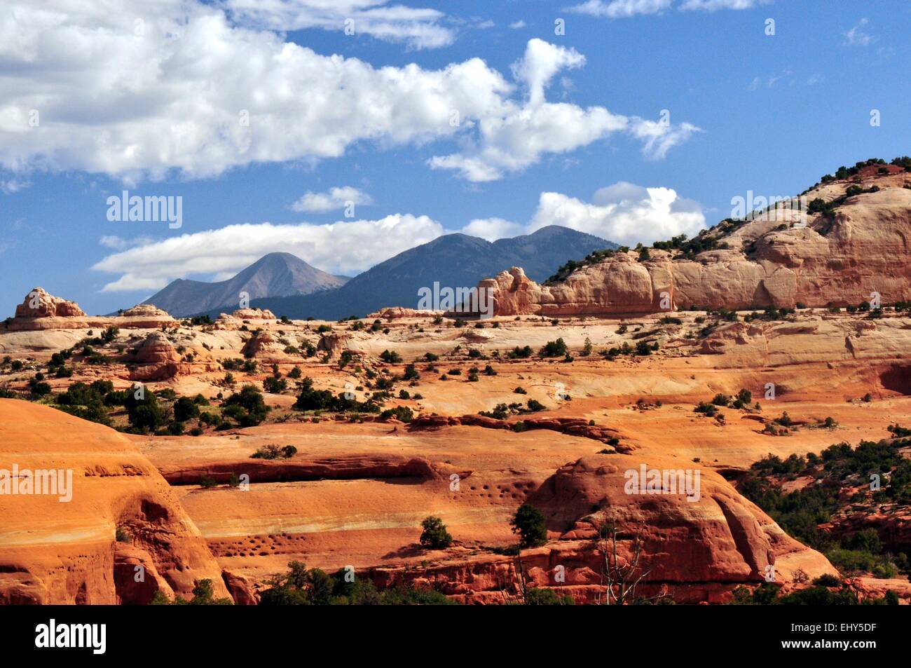 Orange Sandstein Hügel und die La Sal Mountains Utah - USA Stockfoto