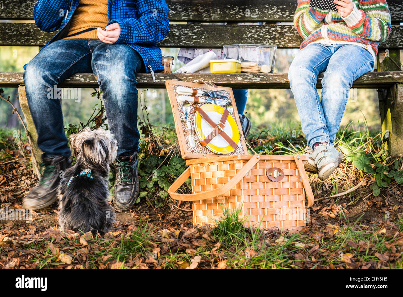 Kinder mit einem Picknick, ist Hund beobachten. Stockfoto