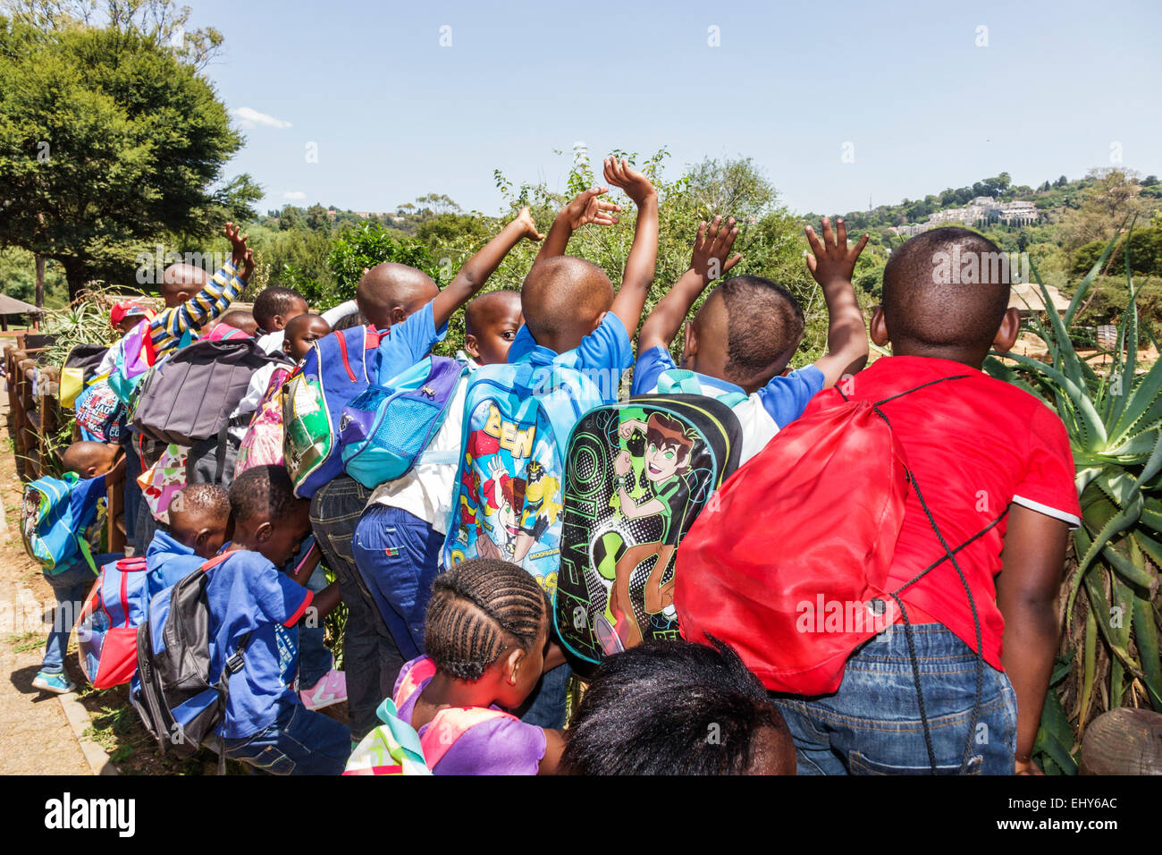 Johannesburg Südafrika, Afrikanischer Zoo, Schwarze Afrikanische Afrikaner ethnische Minderheit, männliche Jungen Jungen Jungen Jungen Kind Kinder Kind Kinder, Mädchen Mädchen, weiblich y Stockfoto