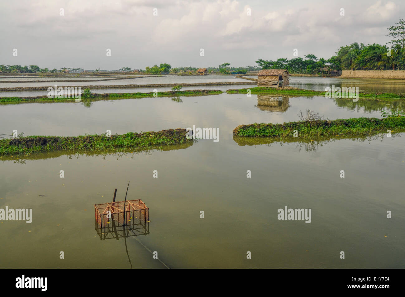 Malerische Aussicht auf traditionelle überfluteten Felder in Bangladesch Stockfoto