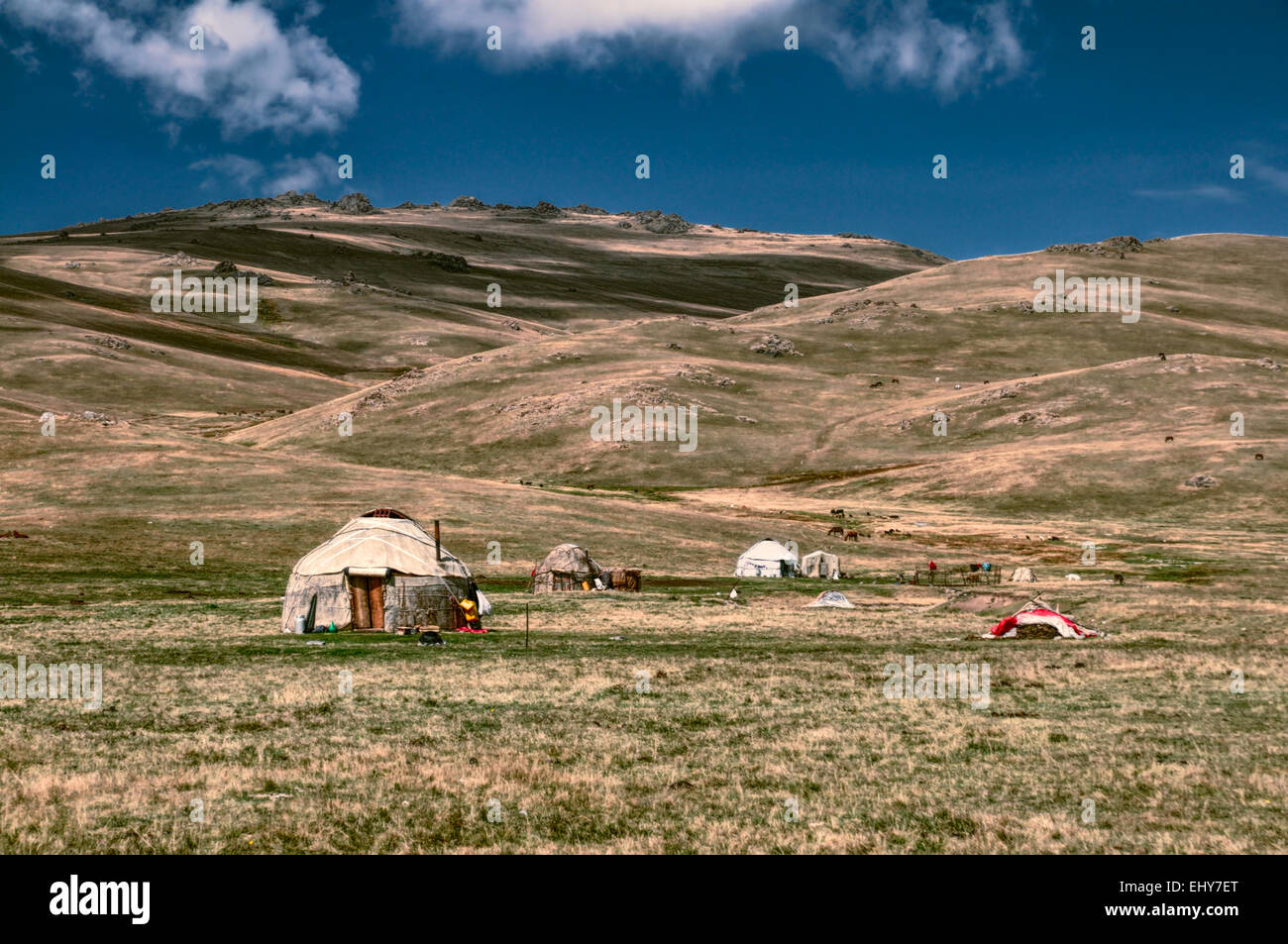 Traditionelle Jurten der Nomadenstämme auf grünen Wiesen in Kirgisistan Stockfoto