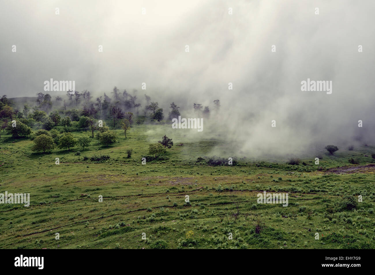 Dichter Nebel kriechen über die grüne Landschaft des bergigen Karabach Stockfoto