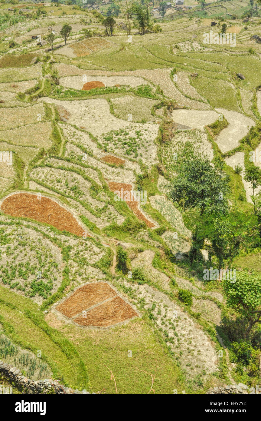 Malerische Luftaufnahme von Terrassenfeldern in Nepal Stockfoto