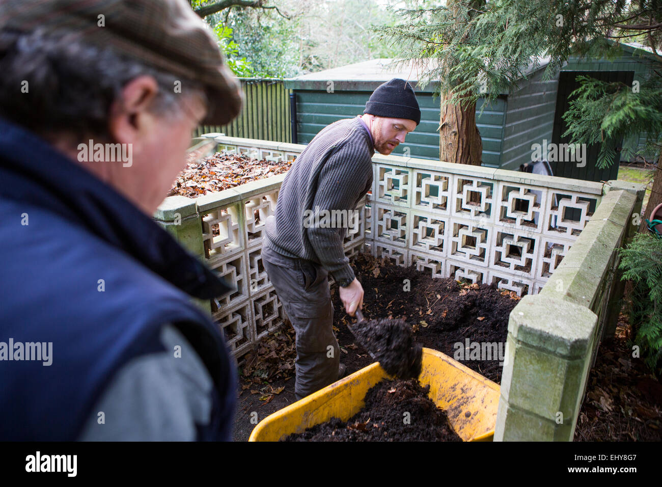 Zwei Männer arbeiten im Garten zusammen, Bournemouth, Grafschaft Dorset, UK, Europa Stockfoto