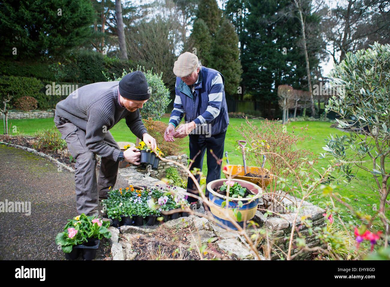 Zwei Männer arbeiten im Garten zusammen, Bournemouth, Grafschaft Dorset, UK, Europa Stockfoto