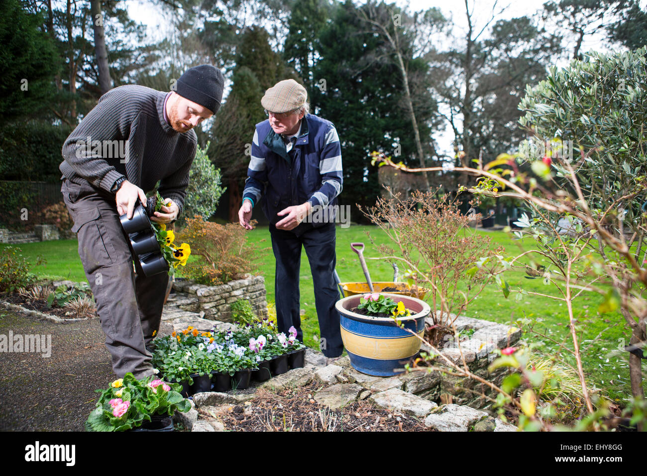 Zwei Männer arbeiten im Garten zusammen, Bournemouth, Grafschaft Dorset, UK, Europa Stockfoto