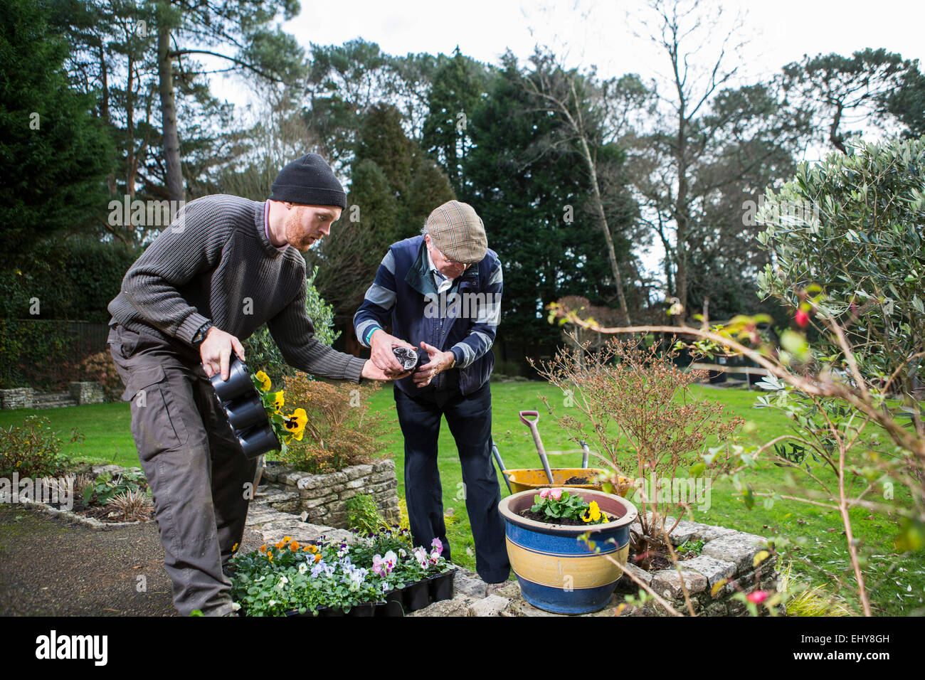 Zwei Männer arbeiten im Garten zusammen, Bournemouth, Grafschaft Dorset, UK, Europa Stockfoto