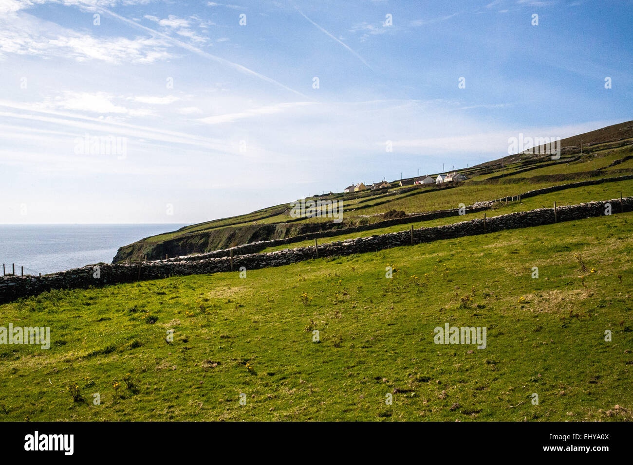 Die irische Landschaft, entlang der Küste, grünen Hügeln, zerklüfteten Küste großen blauen Himmel. Stockfoto