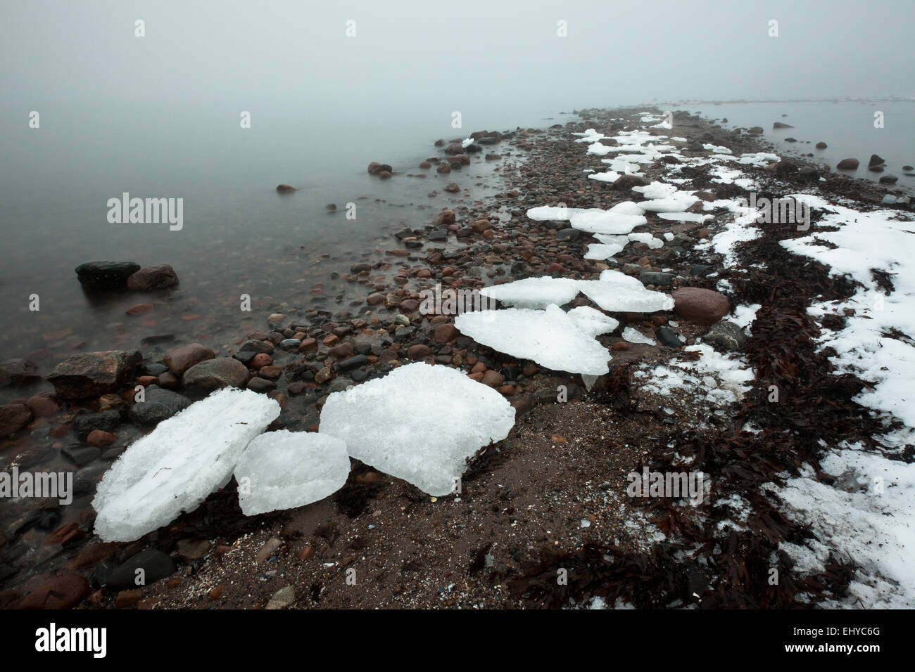 Ice Flakes und Nebel am Oslofjord, Larkollen in Rygge Kommune,, Østfold fylke Rogaland, Norwegen. Stockfoto