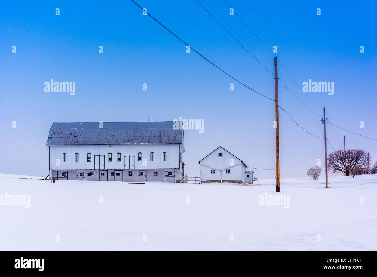 Scheune in ein Schneefeld überdachten Hof in ländlichen York County, Pennsylvania. Stockfoto