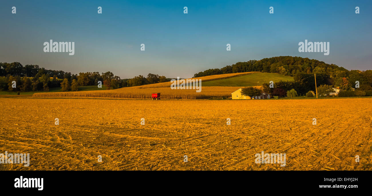 Abendlicht am Bauernhof-Feldern und sanften Hügeln in ländlichen York County, Pennsylvania. Stockfoto