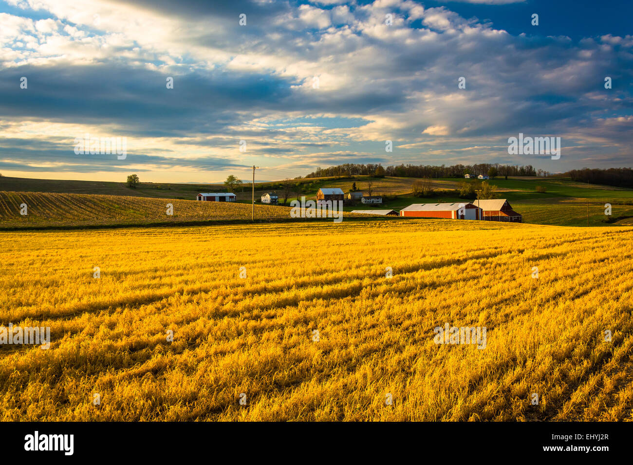 Abendlicht auf Ackerflächen in ländlichen York County, Pennsylvania. Stockfoto