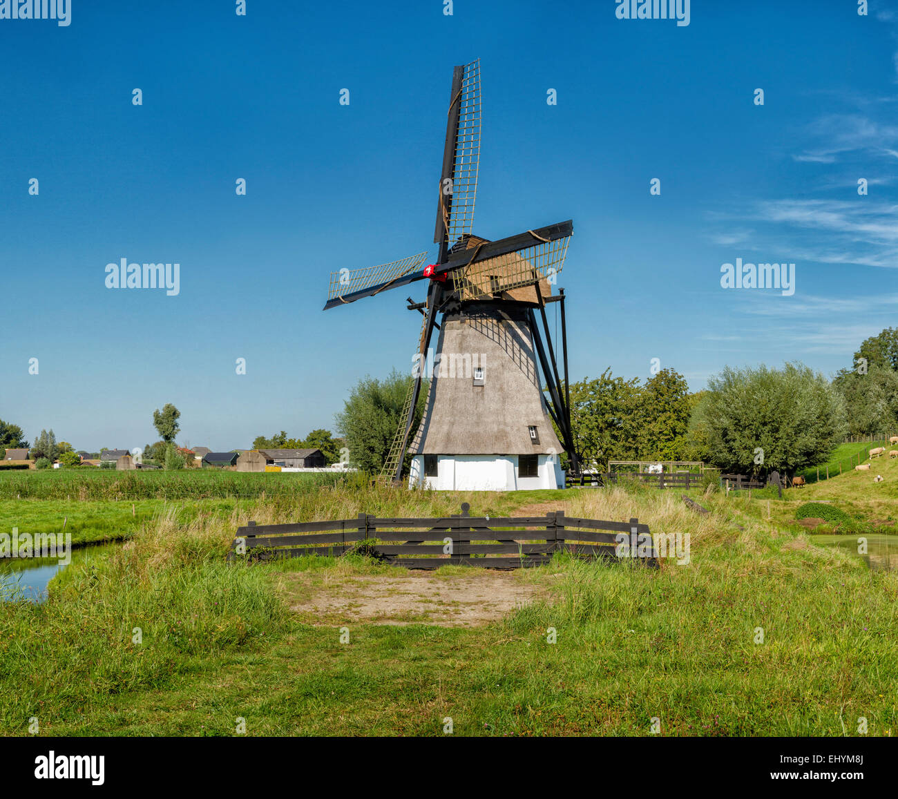 Niederlande, Holland, Europa, Werkendam, Windmühle, Windmühlen, Feld, Wiese, Sommer, Stockfoto