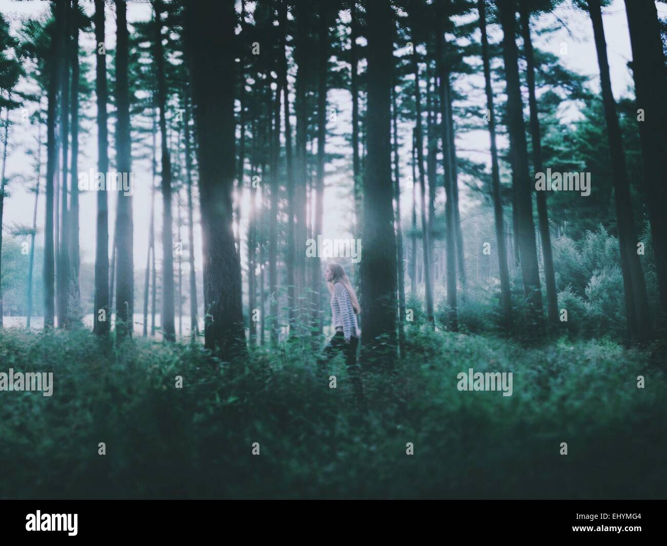 Seitenansicht einer jungen Frau zu Fuß durch den Wald Stockfoto