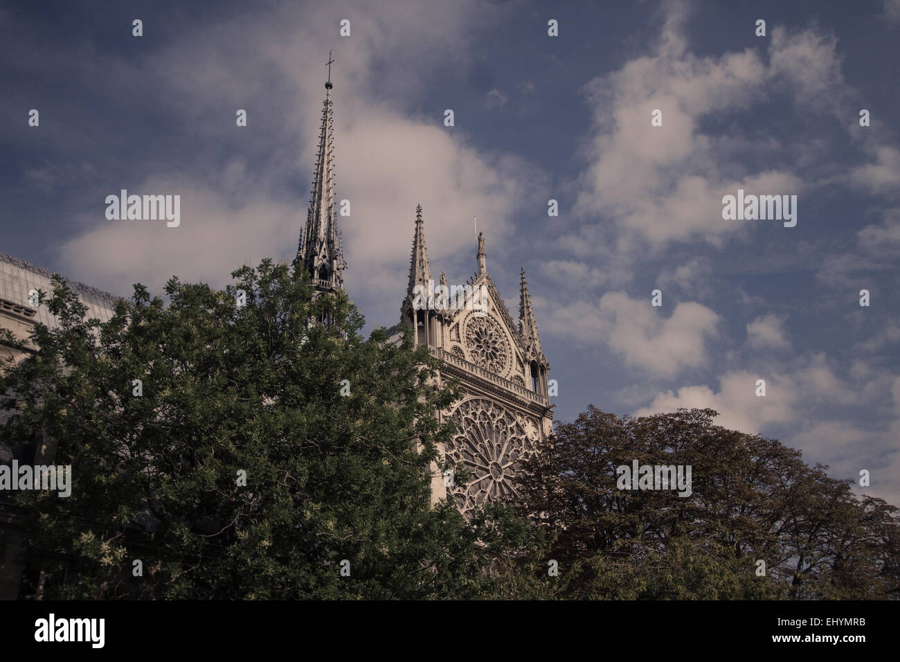 Turm-Detailansicht Notre Dame, Paris, Frankreich Stockfoto