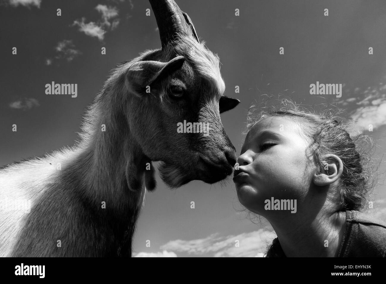 Nahaufnahme eines Mädchens, das eine Ziege küsst Stockfoto