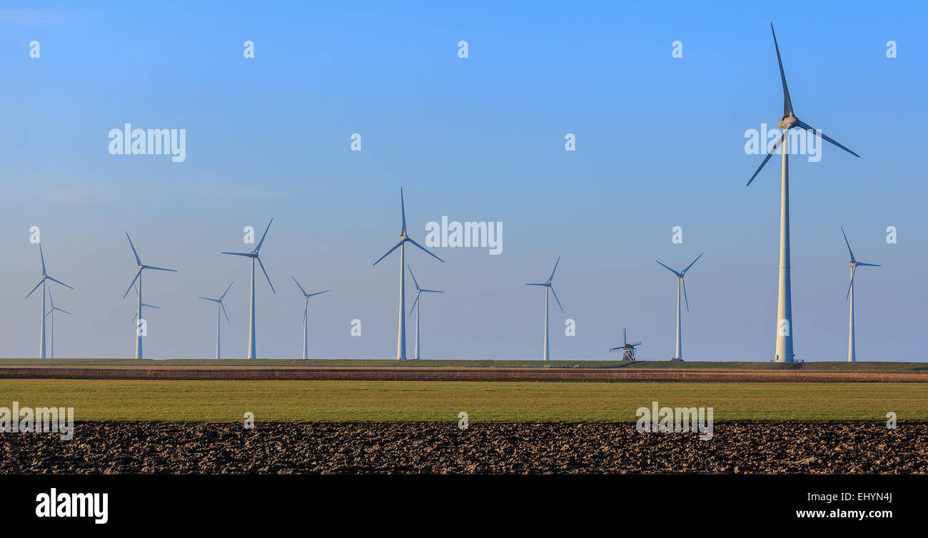 Reihen von Windturbinen, Eemshaven, Groningen, Niederlande Stockfoto