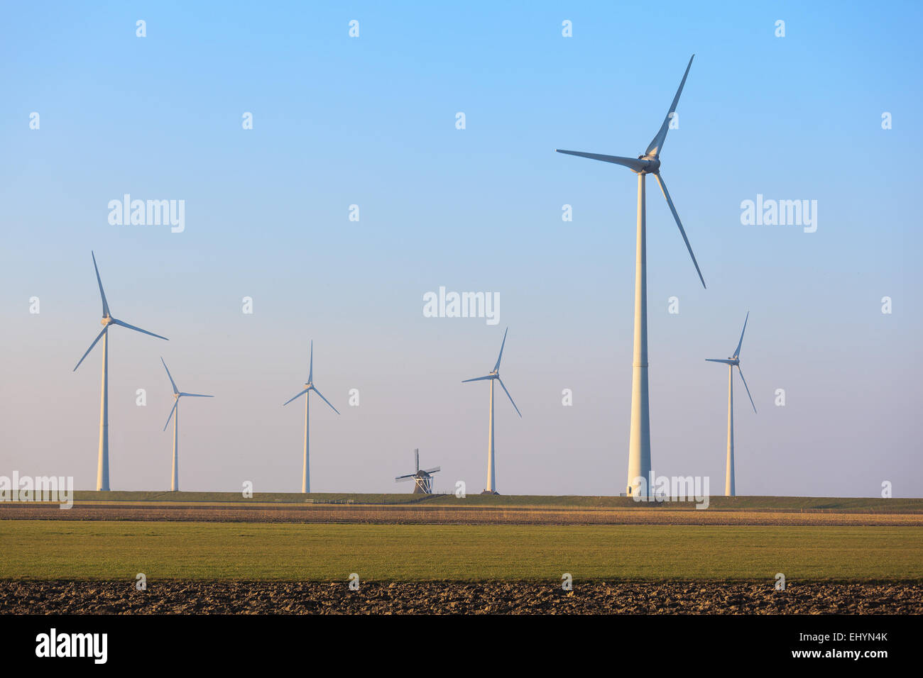 Reihen von Windenergieanlagen und einer alten traditionellen Windmühle, Eemshaven, Groningen, Niederlande Stockfoto