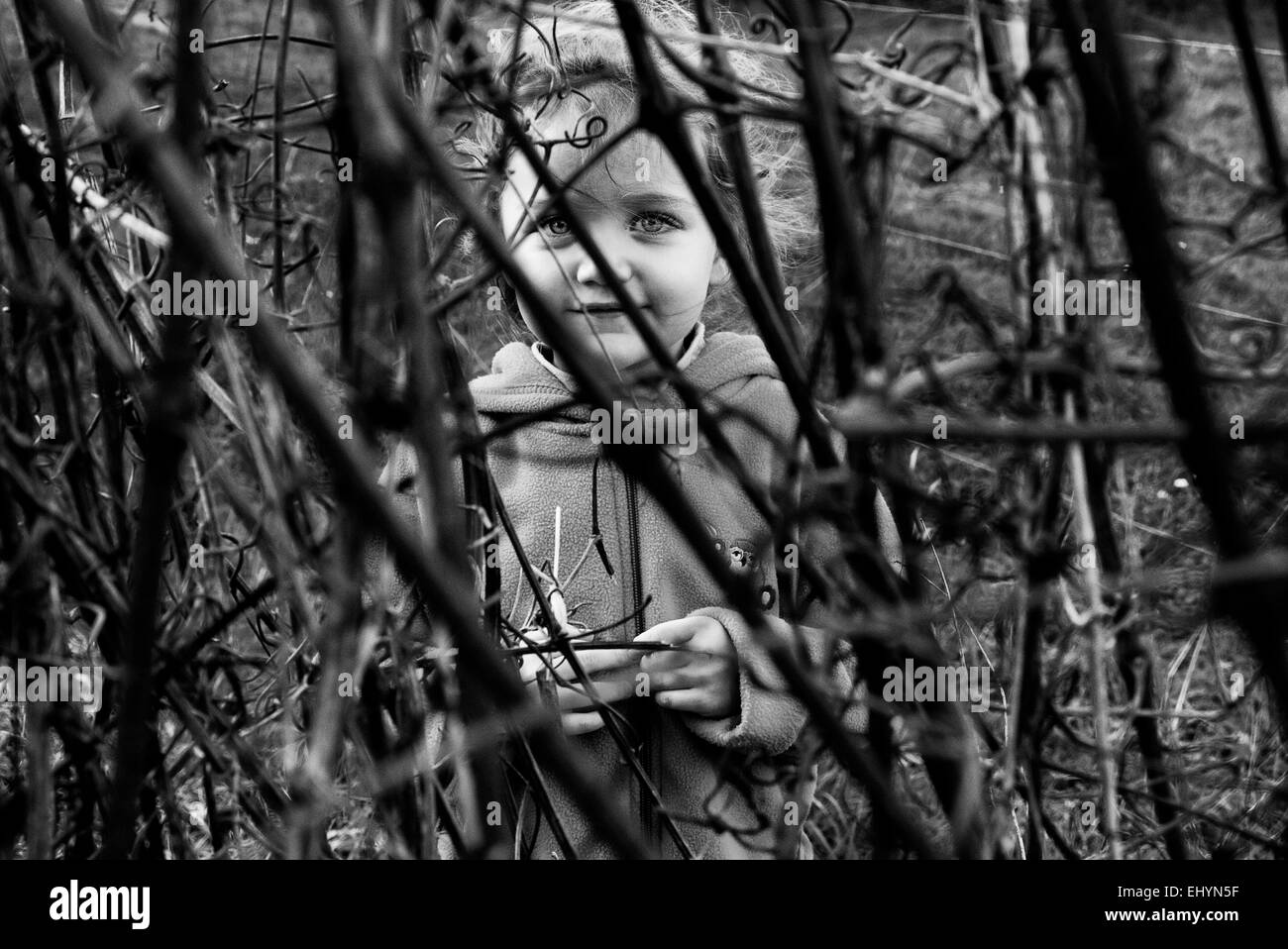 Lächelndes Mädchen versteckt in den Büschen Stockfoto