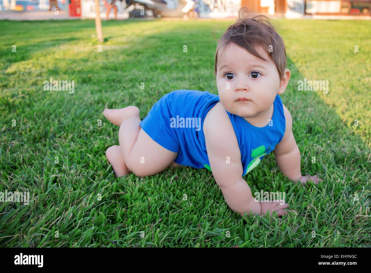 Baby Boy kriechen auf dem Rasen Stockfoto