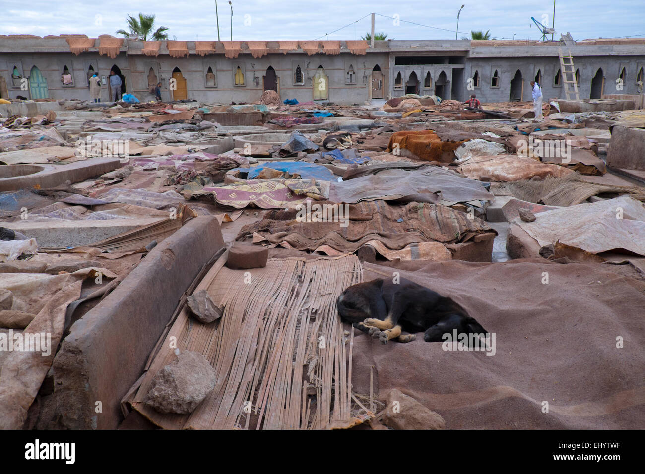 Gerbereien (Gerberei), im Freien, Solarium Bottiche, Medina (Altstadt), Marrakesch, Marrakesch, Marokko, Nordafrika Stockfoto