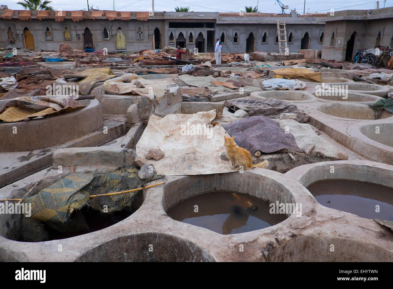 Gerbereien (Gerberei), im Freien, Solarium Bottiche, Medina (Altstadt), Marrakesch, Marrakesch, Marokko, Nordafrika Stockfoto