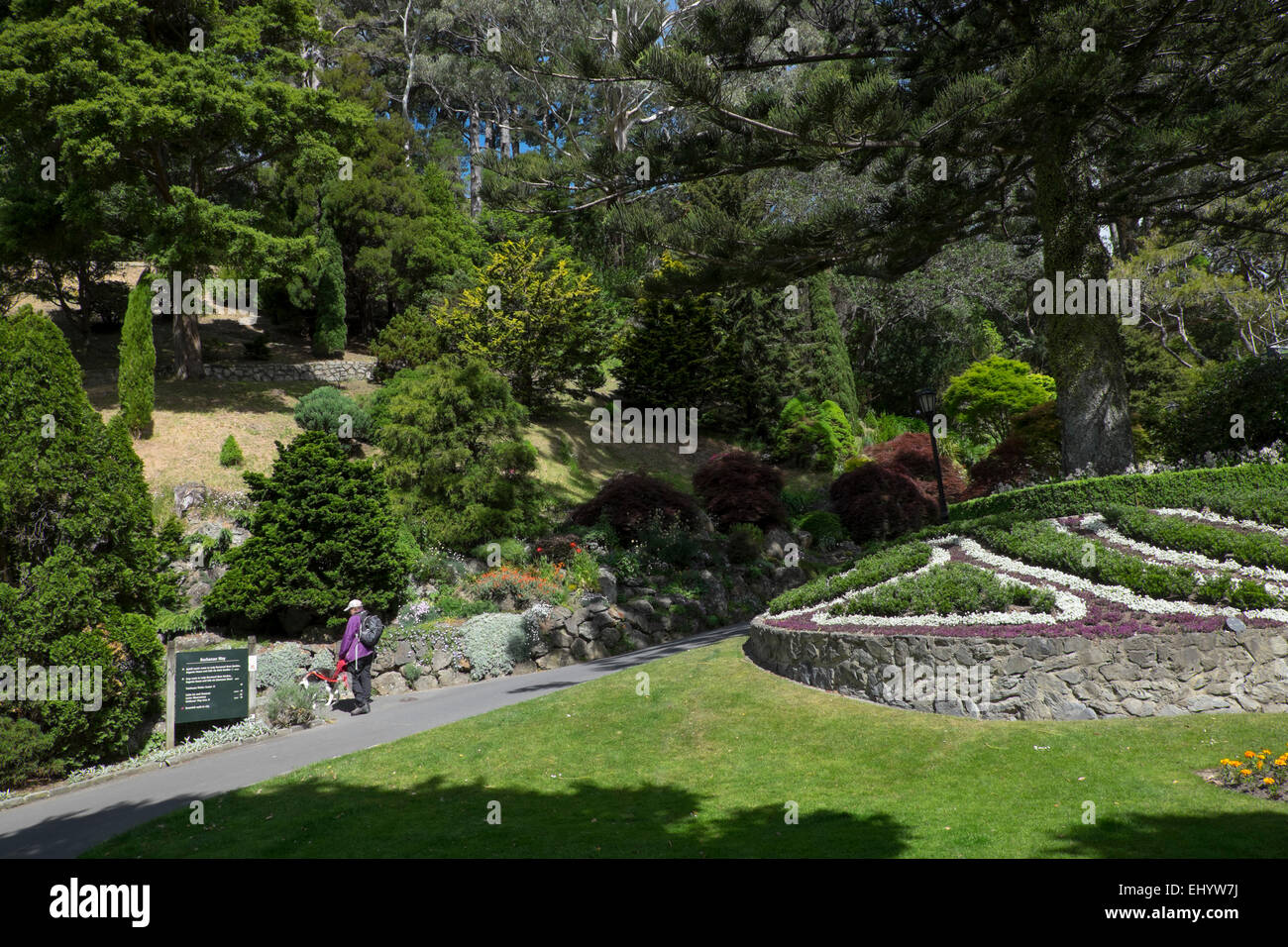 Besucher nach Botanischer Garten, Wellington, Nordinsel, Neuseeland Stockfoto