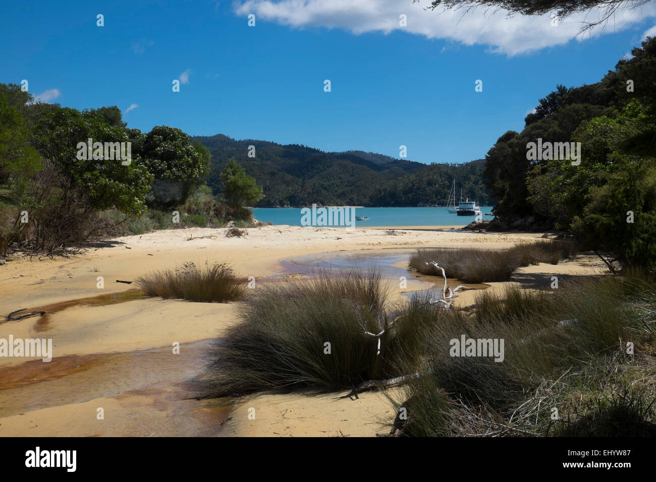 Boot in Totaranui Bay, Abel Tasman National Park, Tasman, Südinsel, Neuseeland, Pazifik Stockfoto