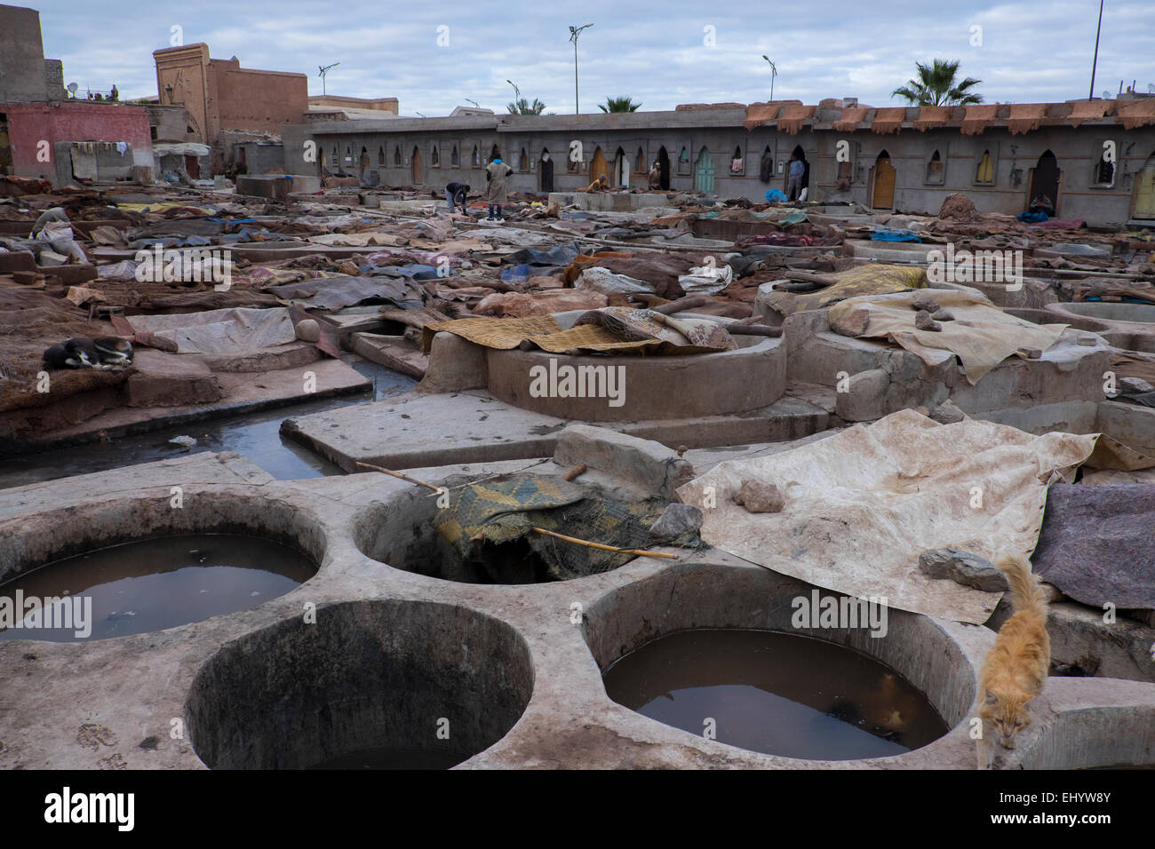 Gerbereien (Gerberei), im Freien, Solarium Bottiche, Medina (Altstadt), Marrakesch, Marrakesch, Marokko, Nordafrika Stockfoto