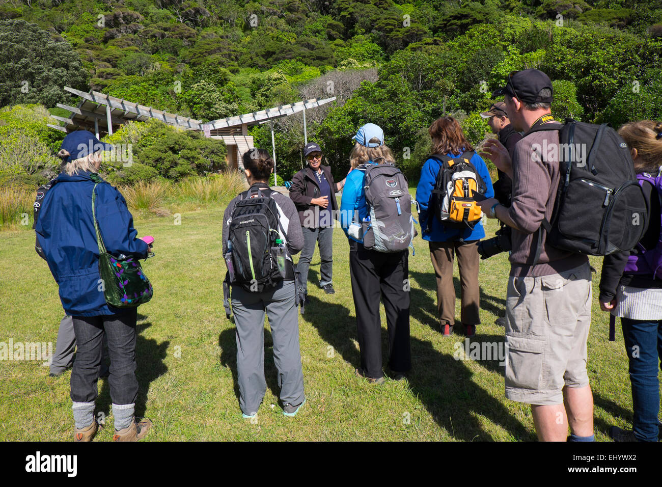 Chefin geben Führung zu Touristen, Kapiti Island, Westküste der Nordinsel, Neuseeland Stockfoto