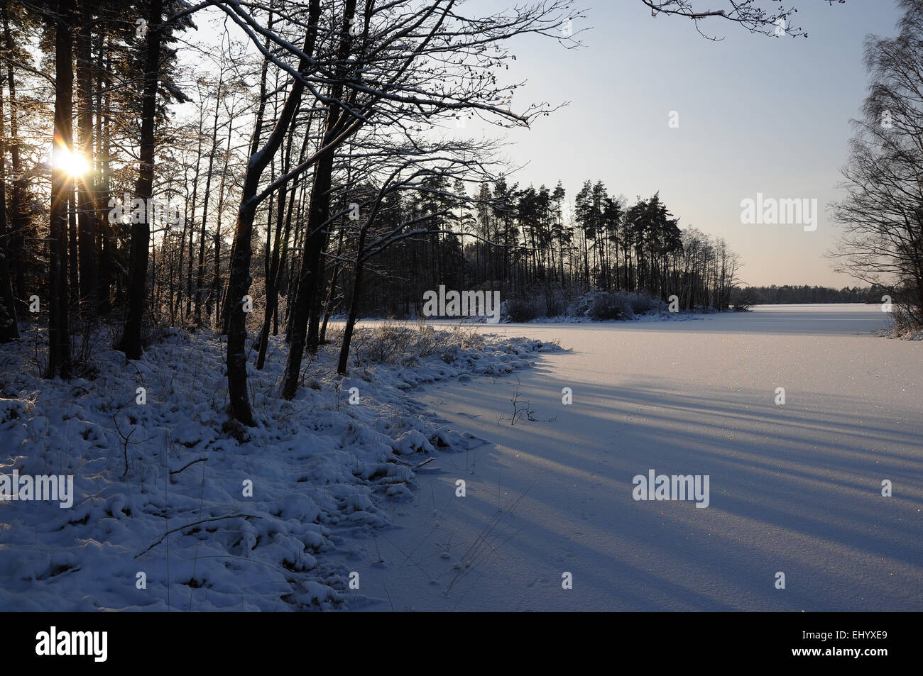 Schweden, Europa, Skane, Örkeljunga, See Storsjö, fror, winter, sonnen sich, Ufer, Schnee, Insel, Insel, Stockfoto