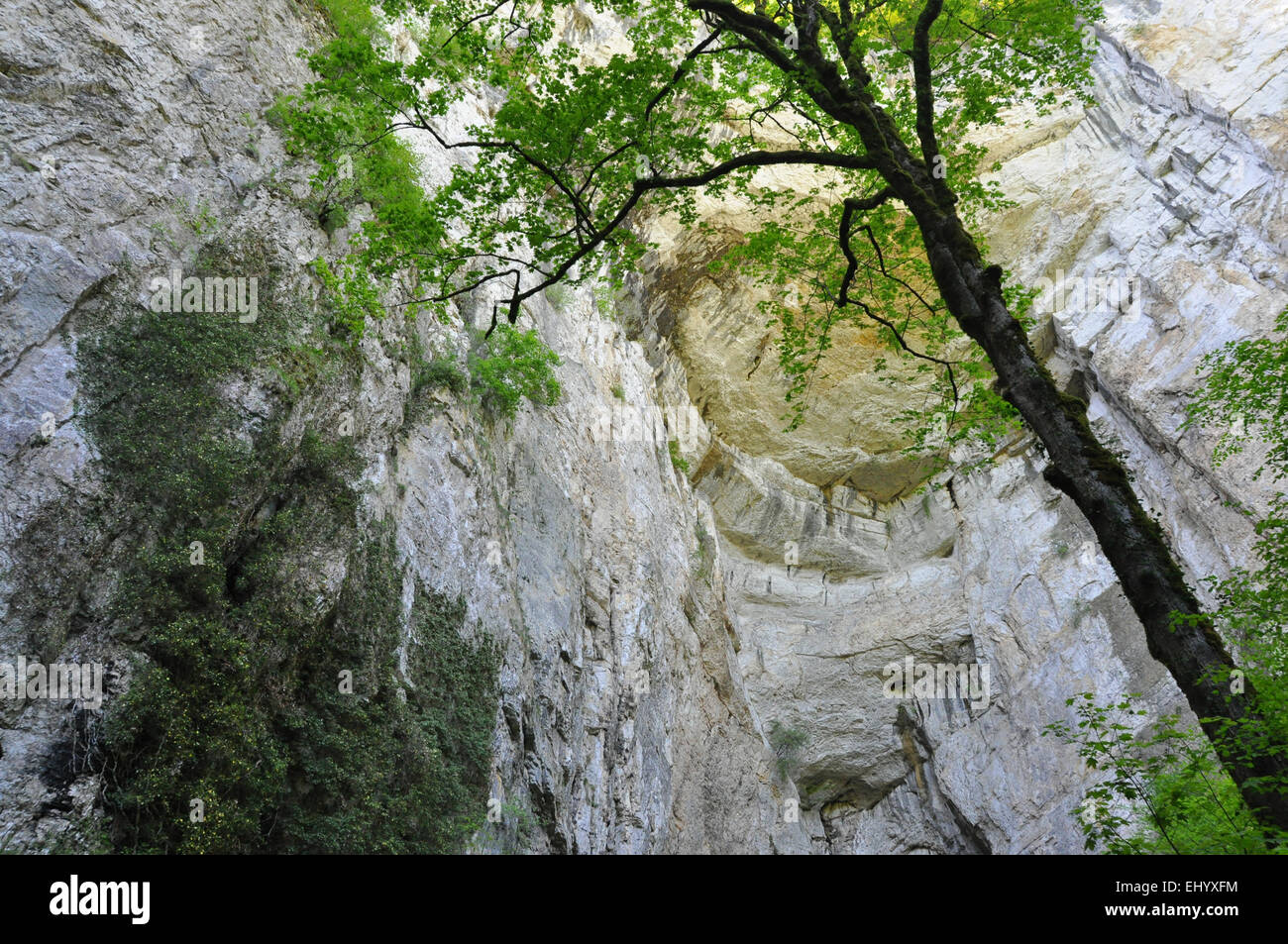 Frankreich, Europa, Jura, Sarrasine Grotte, Grotte, Höhle, Nans-Sous-Sainte-Anne, Departement doubs Stockfoto