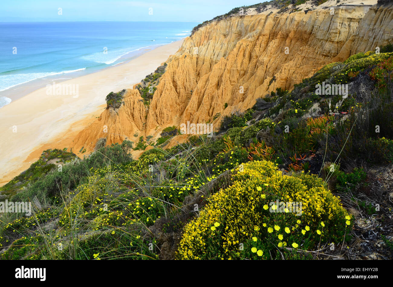 Portugal, Europa, Atlantik, Küste, Praia da Gale, Fontainhas, Melides Alentejo, Longueira, Klippen, Strand, Meer, Sand, Meer, sp Stockfoto