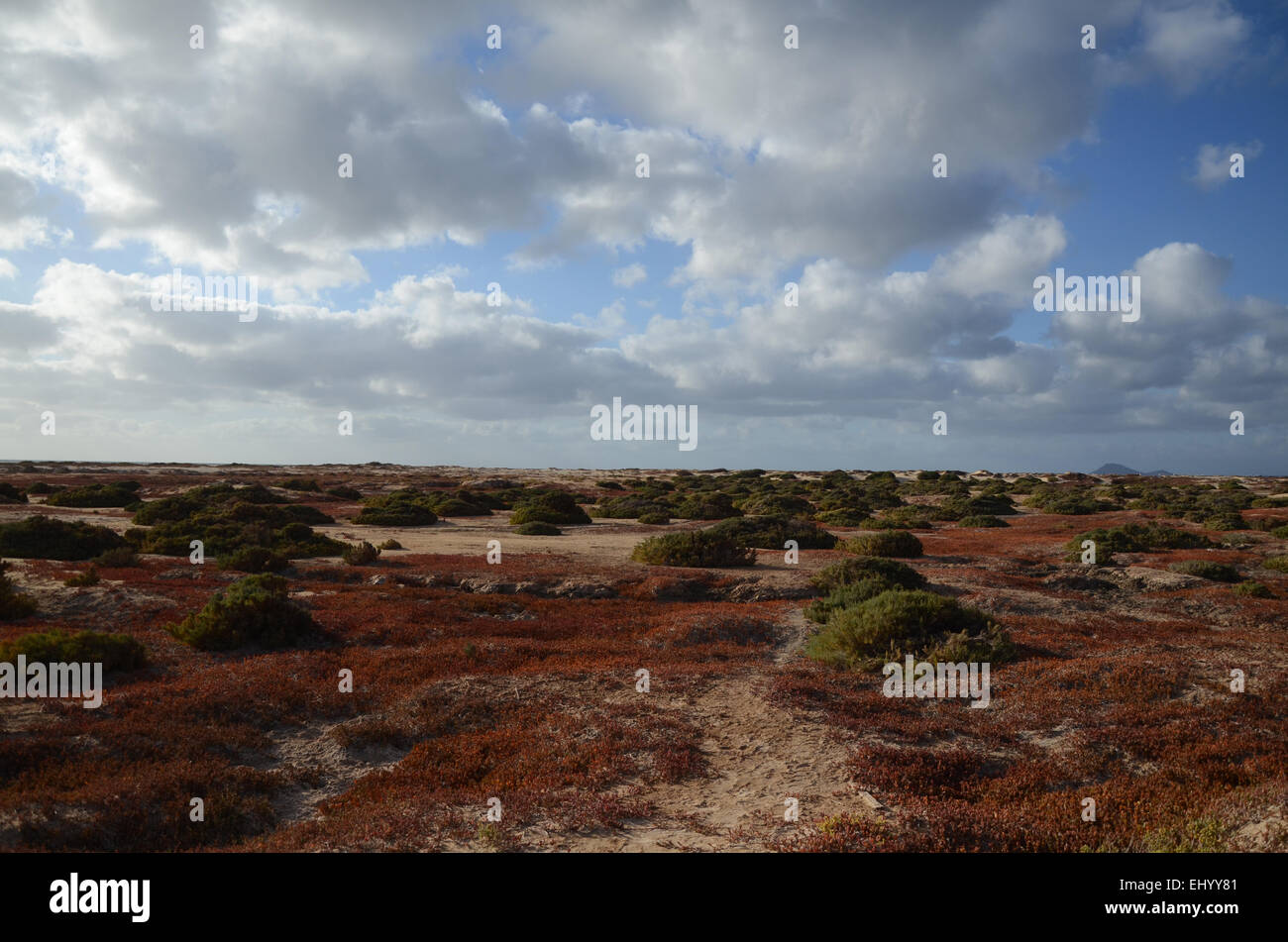 Kap Verde, Kapverden, Sal, Ponta do Sino, Sand, Dünen, Büsche, Sträucher, Bodenvegetation, halb Wüste, Wolken Stockfoto