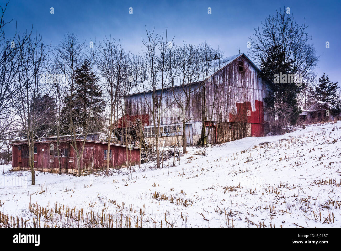 Alte Scheune und einem schneebedeckten Feld im ländlichen York County, Pennsylvania. Stockfoto