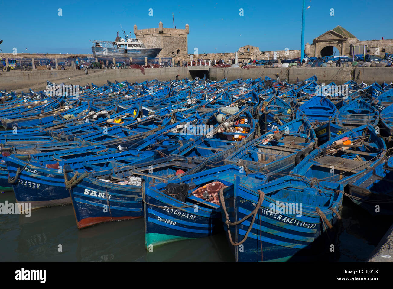 Angelboote/Fischerboote im Hafen von Essaouira mit Skala du Port hinter, Marokko, Nordafrika Stockfoto