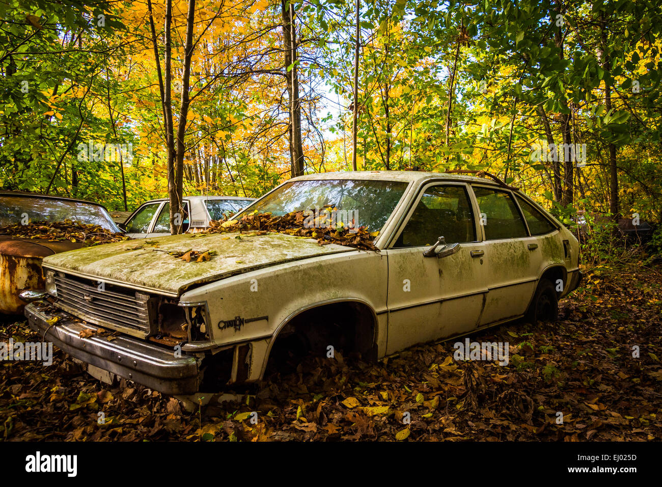 Altes Auto und Herbst Farbe auf einem Schrottplatz. Stockfoto