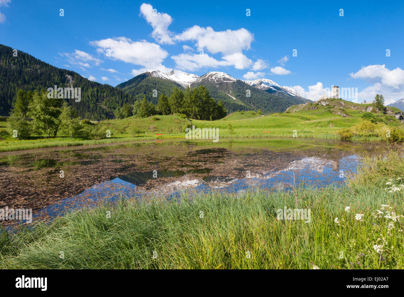 Ardez, Schweiz, Europa, Kanton Graubünden, Graubünden, Engadin, Unterengadin, Engadin, untere Engadin, Wiese, Berg Pastur Stockfoto