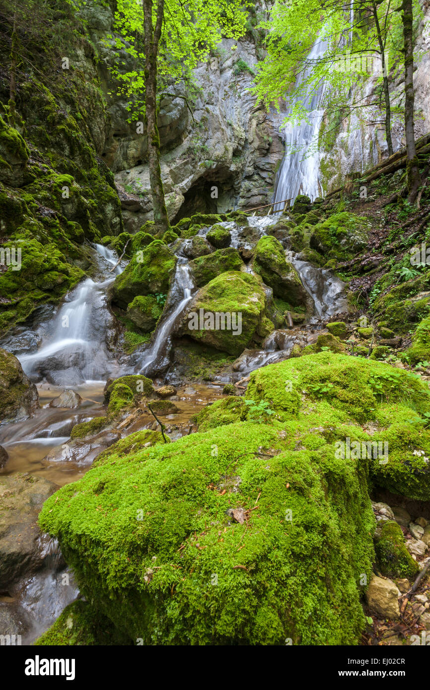 Cascade de Môtiers, Schweiz, Europa, Kanton Neuenburg, Neuchatel-Jura, Jura, Wasserfall, Höhle Stockfoto