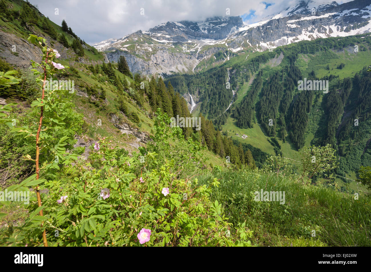 Klausen-pass, Schweiz, Europa, Kanton Uri, Bergpass Stockfoto
