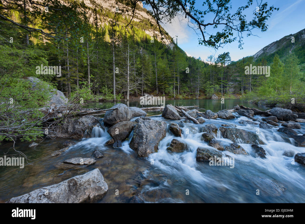 Urwald, Wald, Derborence, Schweiz, Europa, Kanton Wallis, Bergsee, See, Lake run-off Stockfoto