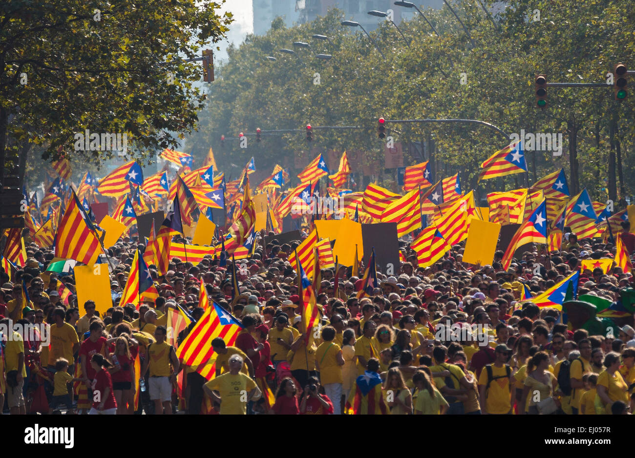 Diada, Barcelona, Stadt, Katalonien, Feier, bunt, Menge, Demonstration, kein Model-Release, Fahnen, Geschichte, Unabhängigkeit, Stockfoto